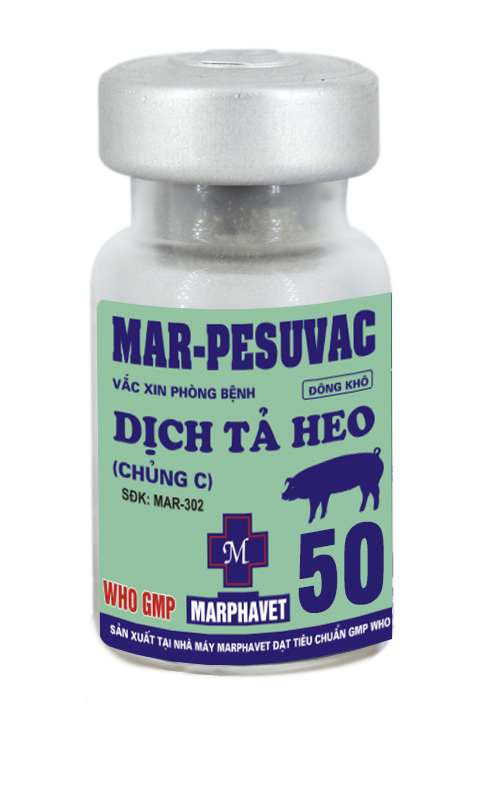 Bệnh dịch tả lợn (Classica swine Fever, Hog Cholera Suis) - Tập đoàn Đức Hạnh Marphavet BMG - XEVIP.ICU
