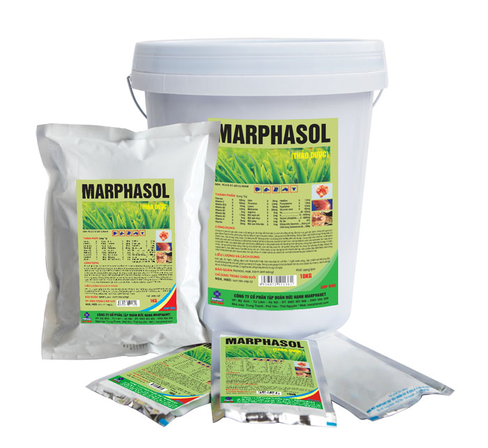 Bệnh đầu đen trên gà - Tập đoàn Đức Hạnh Marphavet BMG - XEVIP.ICU