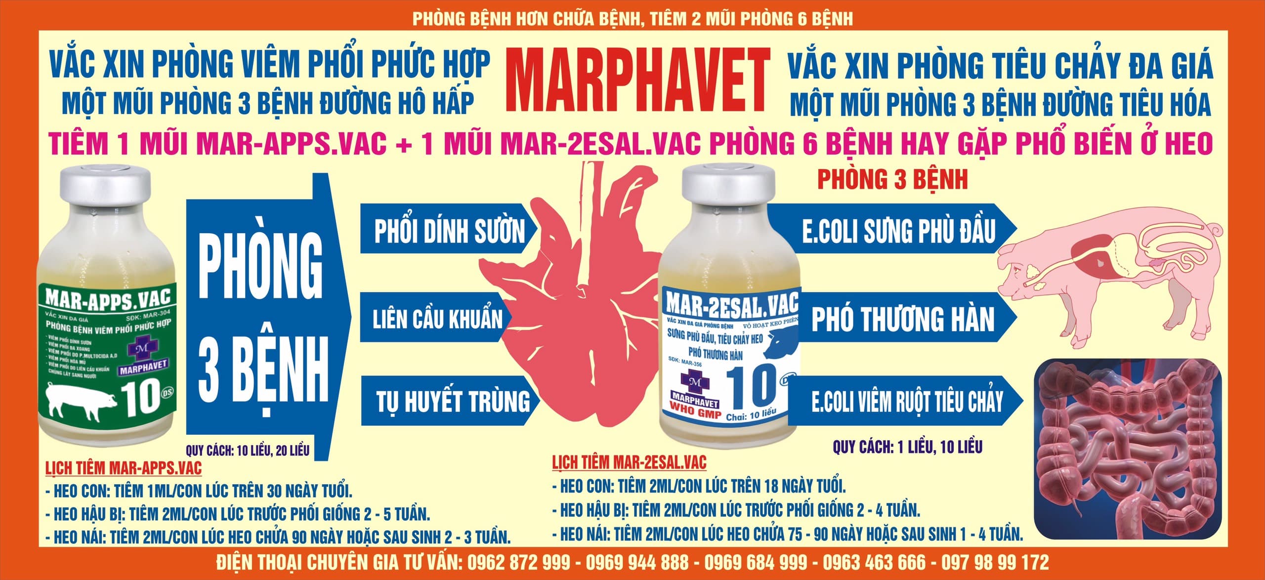 Vắc xin đa giá phòng bệnh trên heo: Mar - apps.vac và Mar-2esal.vac - Tập đoàn Đức Hạnh Marphavet BMG - XEVIP.ICU