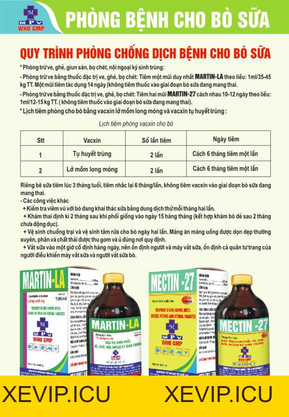 Quy trình phòng bệnh cho bò sữa - Tập đoàn Đức Hạnh Marphavet BMG - XEVIP.ICU