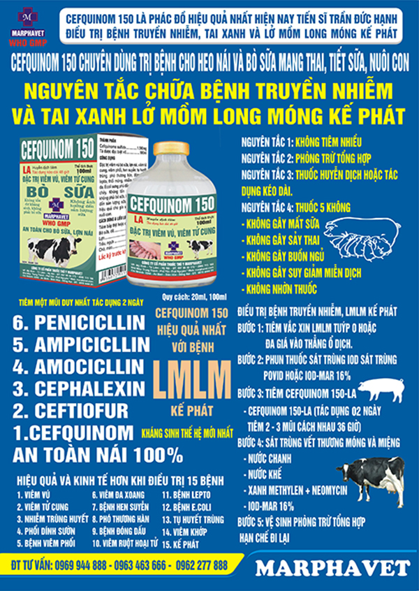 Nguyên tắc chữa bệnh Truyền nhiễm và Tai xanh, Lở mồm long móng kế phát - Tập đoàn Đức Hạnh Marphavet BMG - XEVIP.ICU