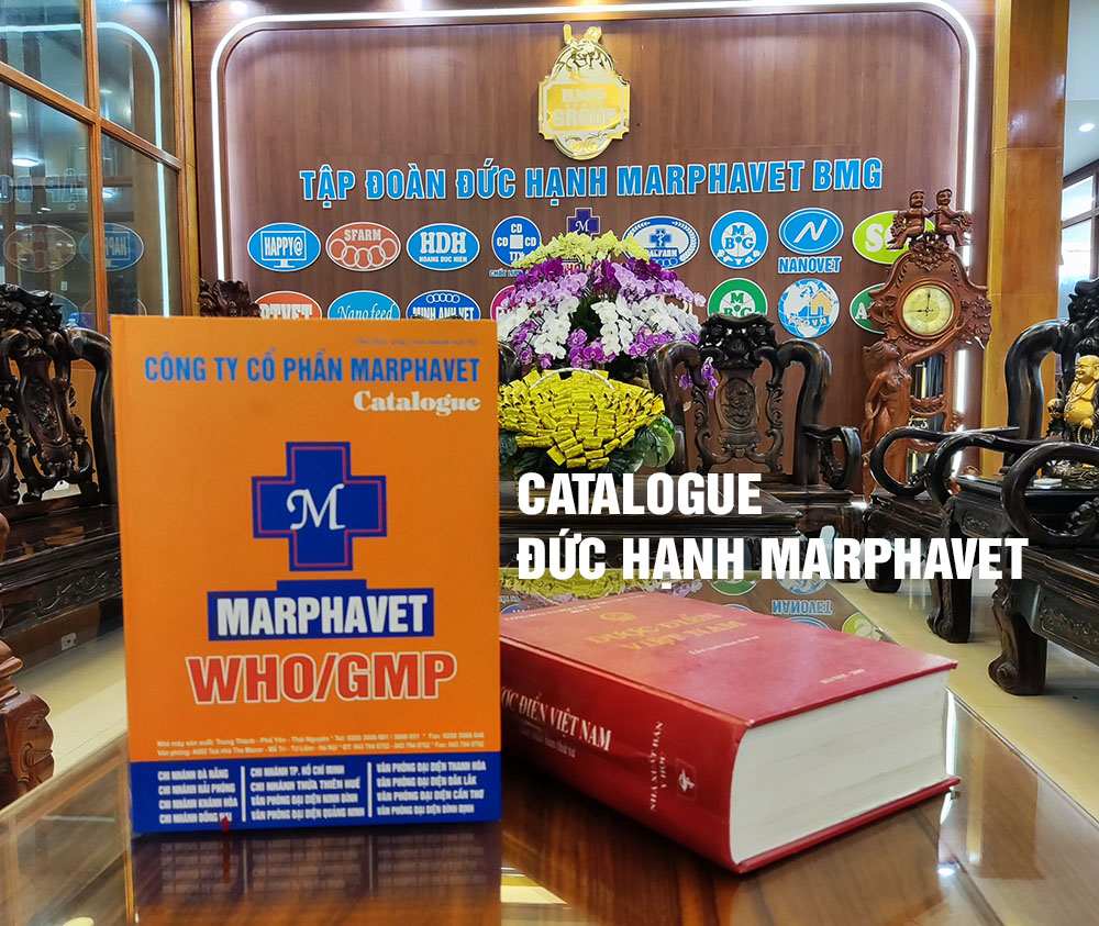 Giới Thiệu - Tập đoàn Đức Hạnh Marphavet BMG - XEVIP.ICU