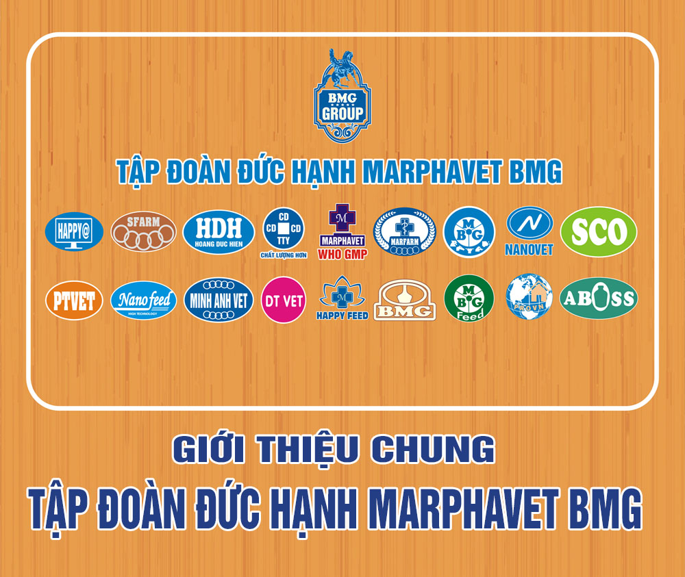 Giới Thiệu - Tập đoàn Đức Hạnh Marphavet BMG - XEVIP.ICU