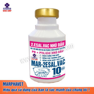 Sản Phẩm - Tập đoàn Đức Hạnh Marphavet BMG - XEVIP.ICU
