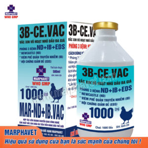 Sản Phẩm - Tập đoàn Đức Hạnh Marphavet BMG - XEVIP.ICU