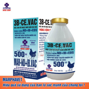 Sản Phẩm - Tập đoàn Đức Hạnh Marphavet BMG - XEVIP.ICU
