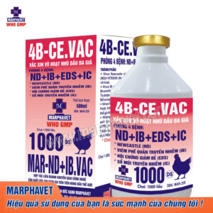 Sản Phẩm - Tập đoàn Đức Hạnh Marphavet BMG - XEVIP.ICU