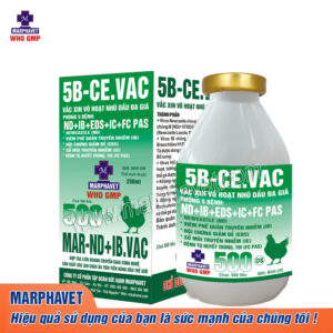 Sản Phẩm - Tập đoàn Đức Hạnh Marphavet BMG - XEVIP.ICU
