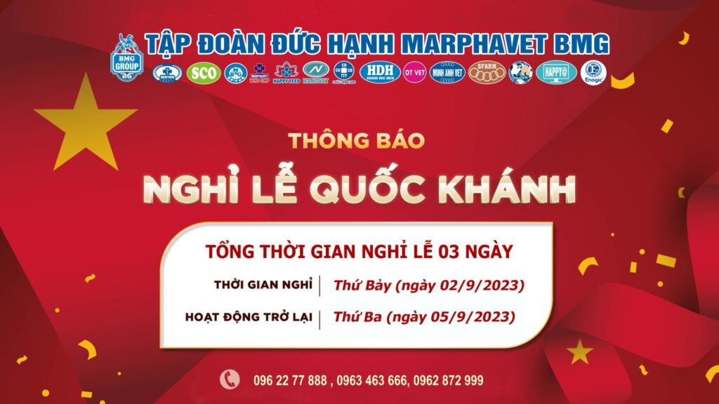 THÔNG BÁO LỊCH NGHỈ LỄ QUỐC KHÁNH 2/9/2026 - Tập đoàn Đức Hạnh Marphavet BMG - XEVIP.ICU