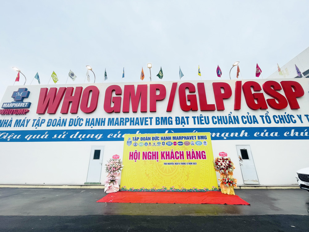 TRI ÂN KHÁCH HÀNG, ĐÓN CHÀO NĂM MỚI 2026 - Tập đoàn Đức Hạnh Marphavet BMG - XEVIP.ICU