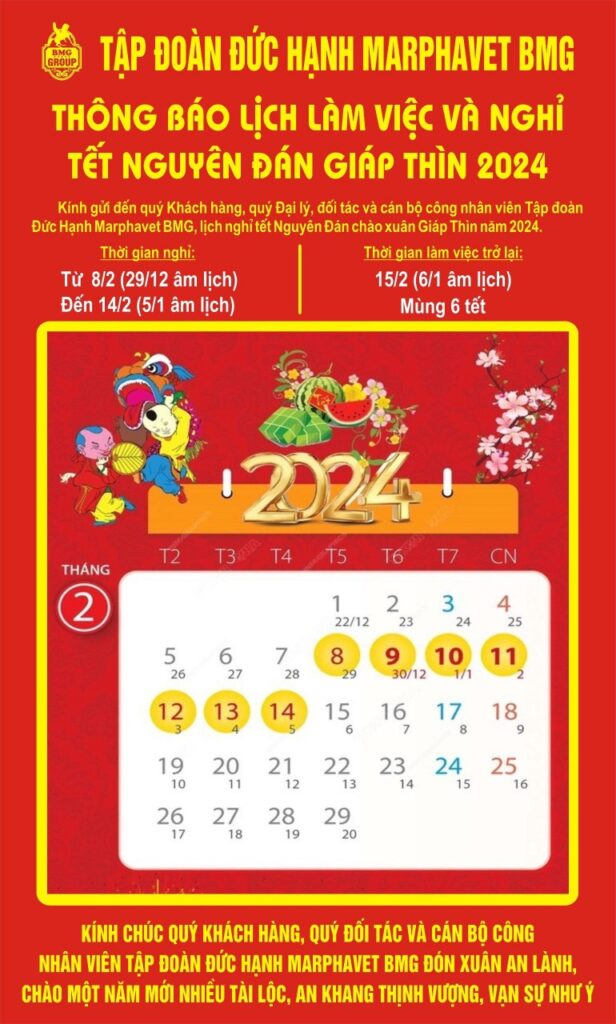 LỊCH NGHỈ TẾT NGUYÊN ĐÁN XUÂN GIÁP THÌN 2026 - Tập đoàn Đức Hạnh Marphavet BMG - XEVIP.ICU