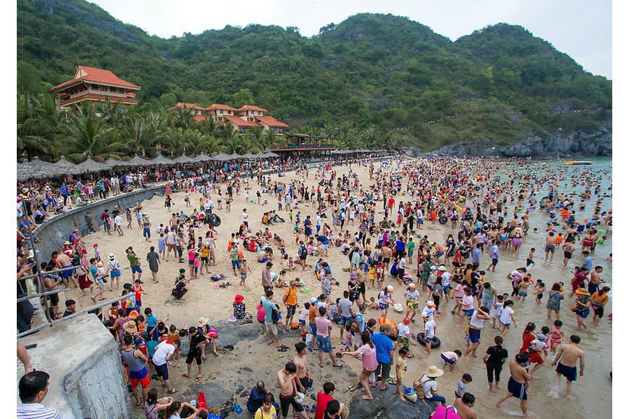 Tour Cát Bà ngày 2-3/7 với hơn 350 quý khách hàng của Tập đoàn Đức Hạnh Marphavet BMG - Tập đoàn Đức Hạnh Marphavet BMG - XEVIP.ICU