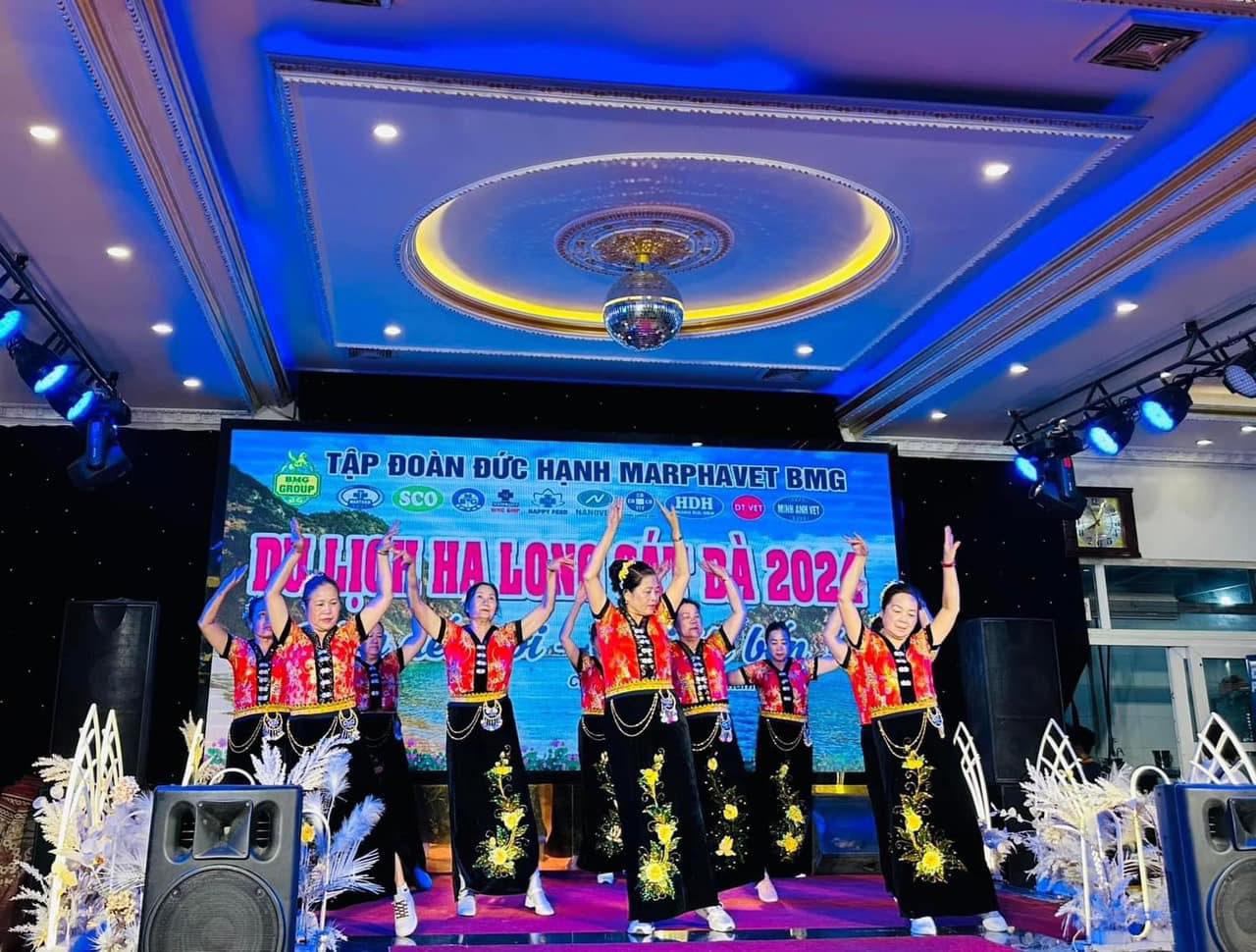 Tour Cát Bà ngày 2-3/7 với hơn 350 quý khách hàng của Tập đoàn Đức Hạnh Marphavet BMG - Tập đoàn Đức Hạnh Marphavet BMG - XEVIP.ICU
