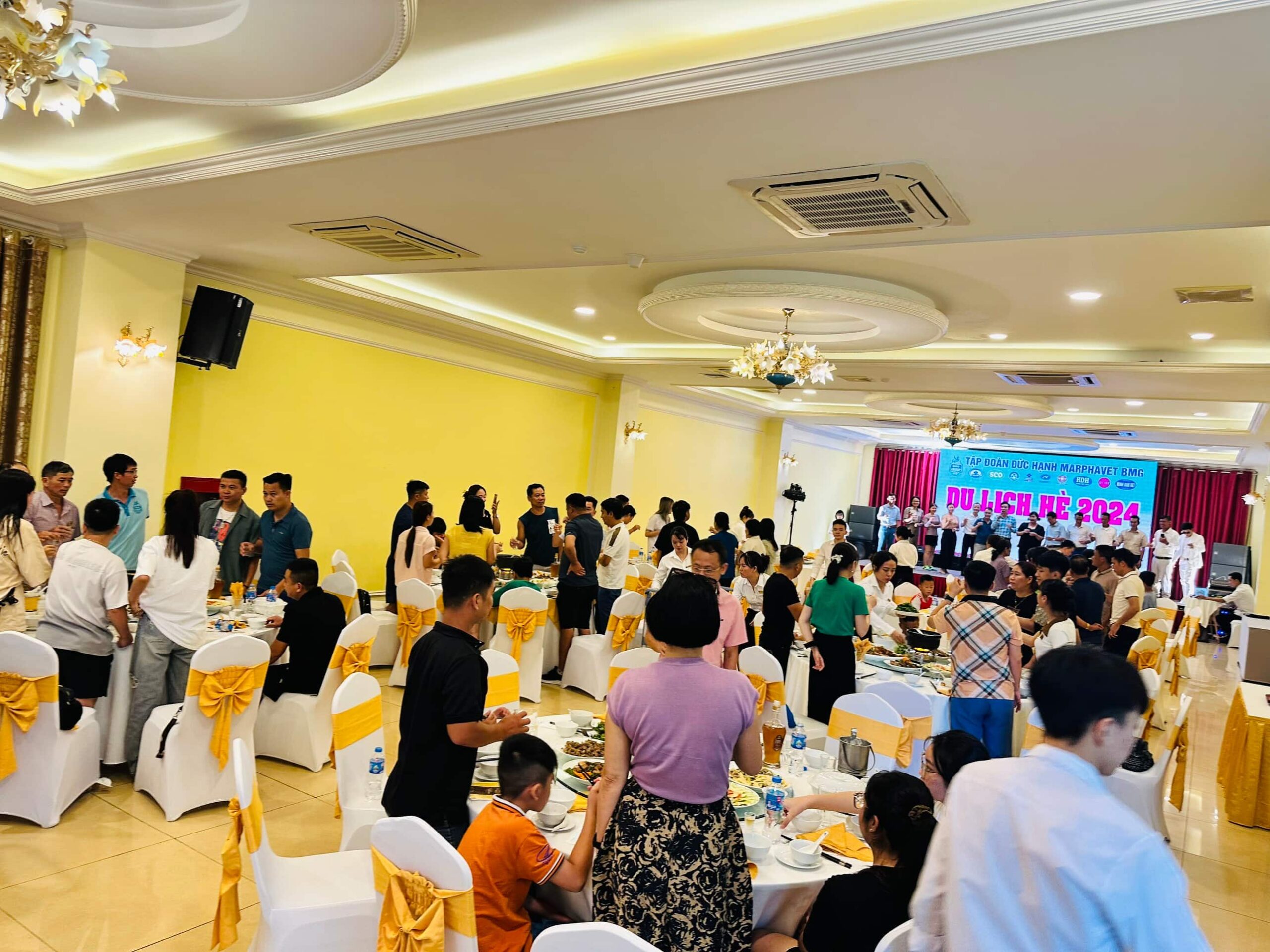 Tour du lịch Hải Tiến- Paracel Resort & Flamingo 2026 cùng các đại lý Marphavet BMG - Tập đoàn Đức Hạnh Marphavet BMG - XEVIP.ICU