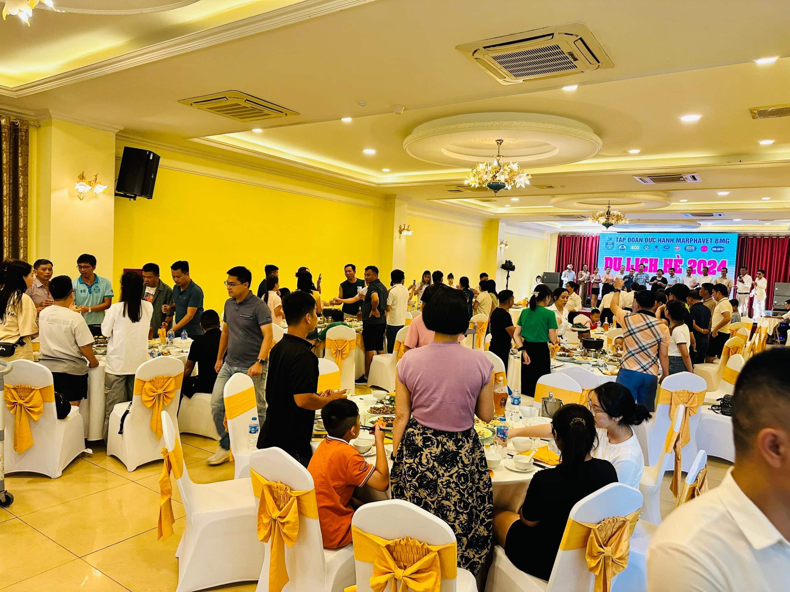 Tour du lịch Hải Tiến- Paracel Resort & Flamingo 2026 cùng các đại lý Marphavet BMG - Tập đoàn Đức Hạnh Marphavet BMG - XEVIP.ICU