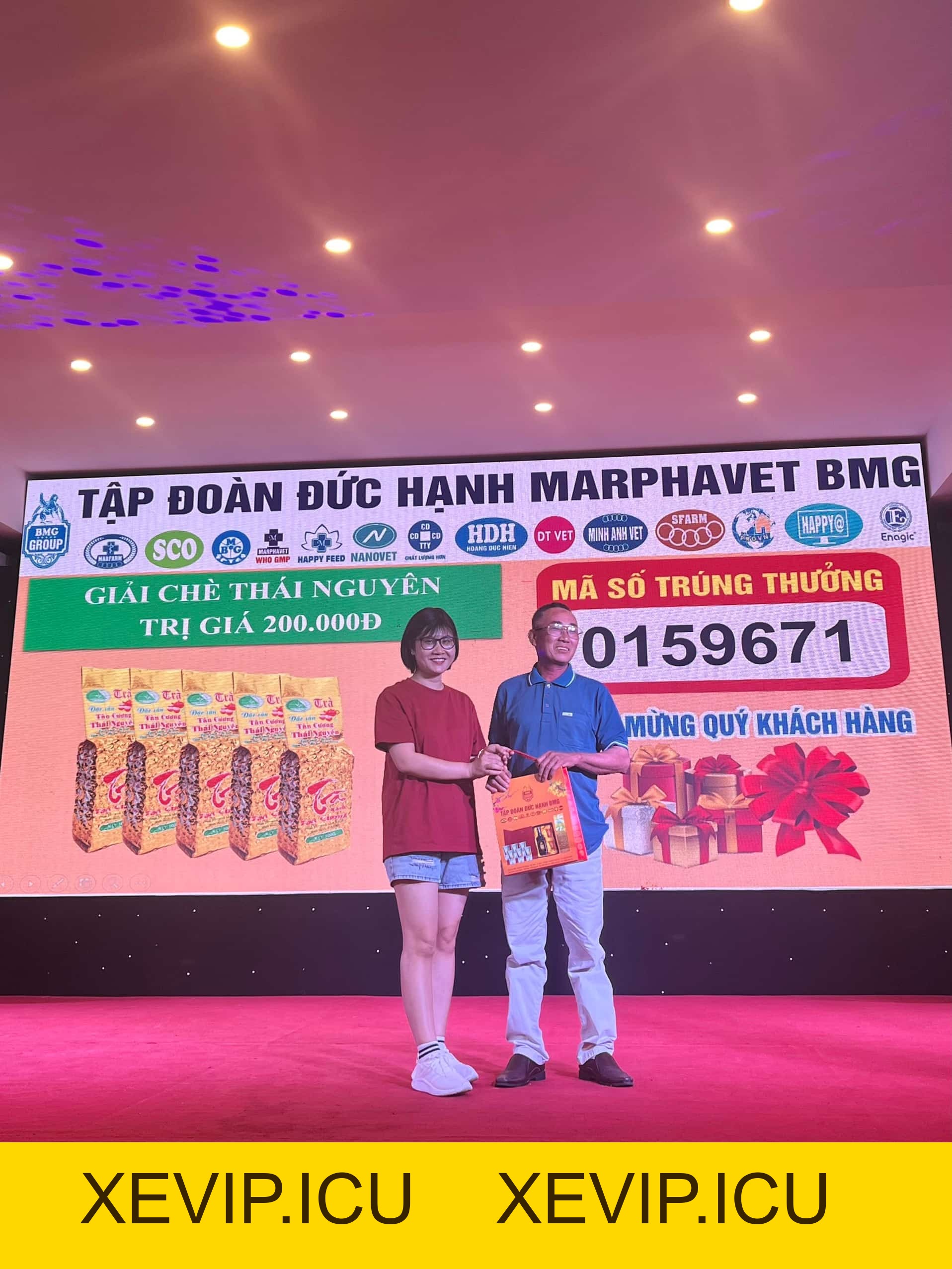 Khám phá và trải nghiệm tour Quy Nhơn cùng Tập đoàn Đức Hạnh BMG - Tập đoàn Đức Hạnh Marphavet BMG - XEVIP.ICU