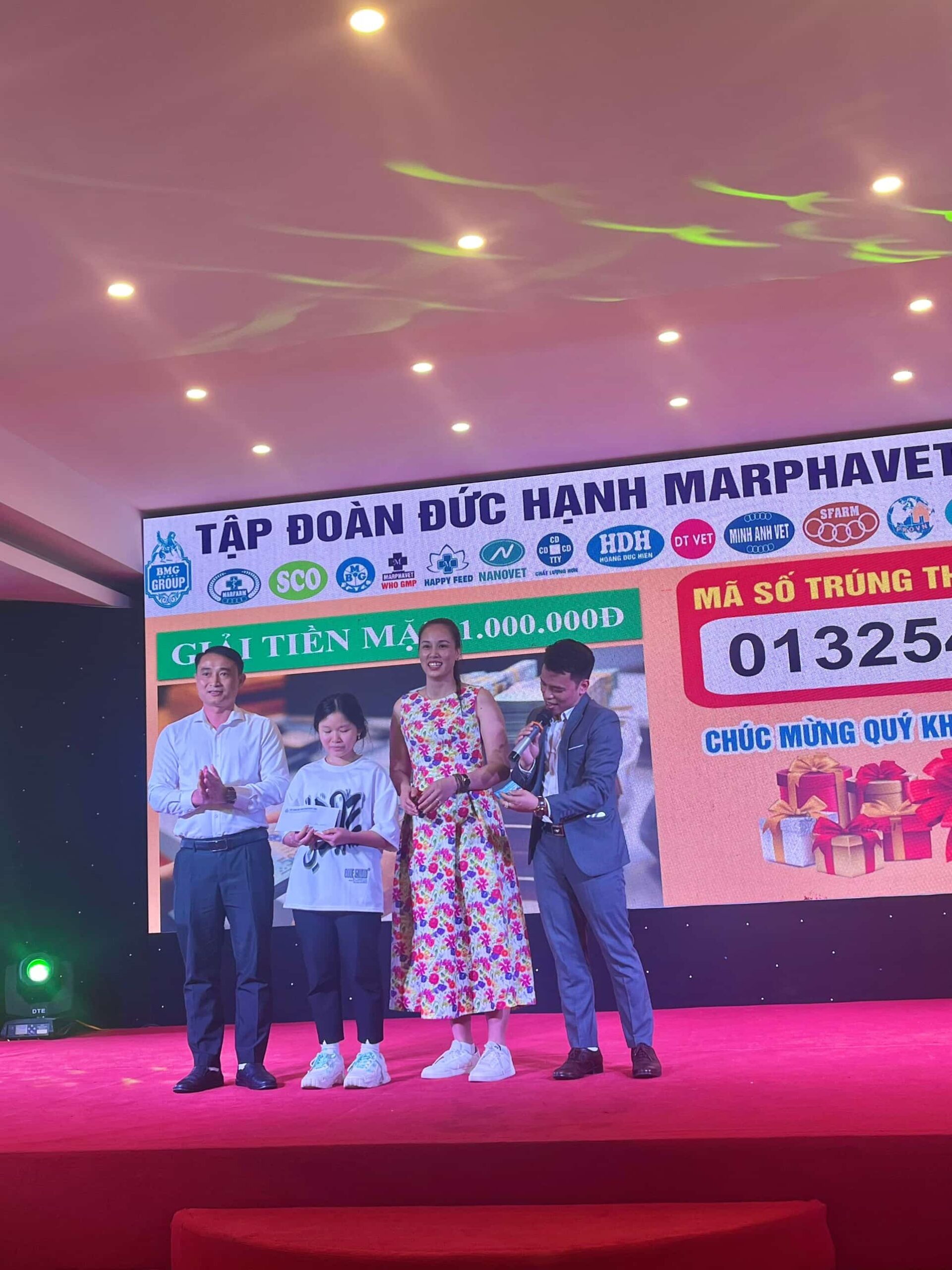 Khám phá và trải nghiệm tour Quy Nhơn cùng Tập đoàn Đức Hạnh BMG - Tập đoàn Đức Hạnh Marphavet BMG - XEVIP.ICU