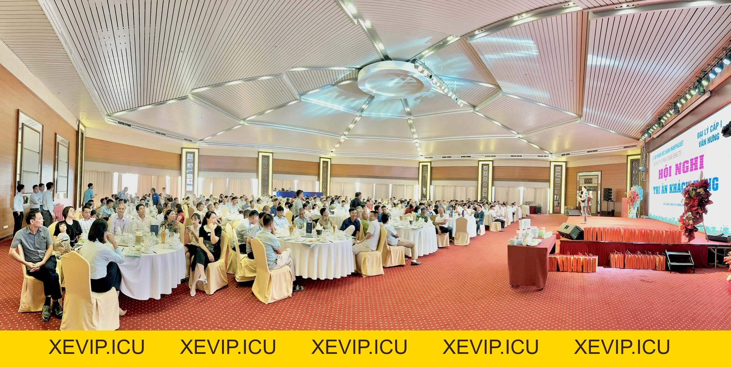Hội thảo kỹ thuật & Ra mắt sản phẩm mới tại khách sạn Mường Thanh - Bắc Giang - Tập đoàn Đức Hạnh Marphavet BMG - XEVIP.ICU