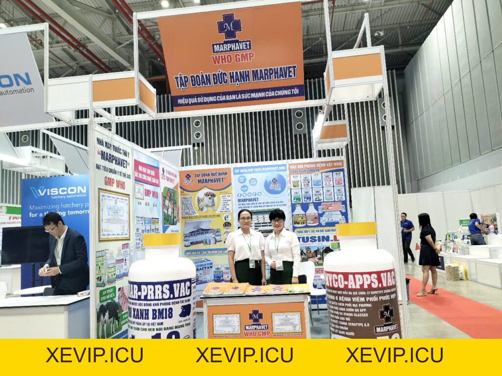 MARPHAVET BMG TẠI LIVESTOCK VIETNAM 2026 – KẾT NỐI & ĐÓN NHẬN CƠ HỘI - Tập đoàn Đức Hạnh Marphavet BMG - XEVIP.ICU