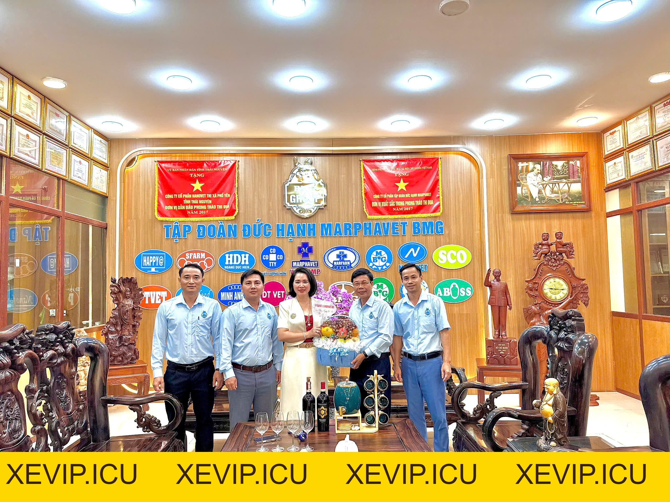 Tập đoàn Đức Hạnh Marphavet BMG Chúc mừng Ngày Phụ nữ Việt Nam 20/10/2026! - Tập đoàn Đức Hạnh Marphavet BMG - XEVIP.ICU