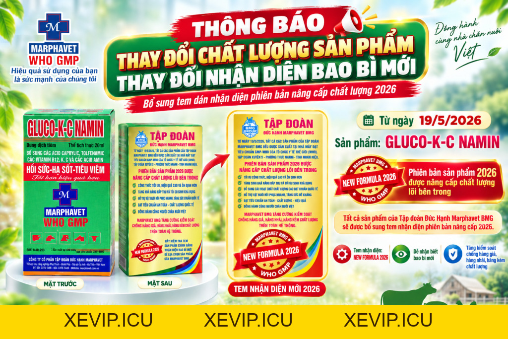 THÔNG BÁO NÂNG CẤP CHẤT LƯỢNG SẢN PHẨM & THAY ĐỔI NHẬN DIỆN BAO BÌ MỚI TỪ 19/5/2026. - Tập đoàn Đức Hạnh Marphavet BMG - XEVIP.ICU